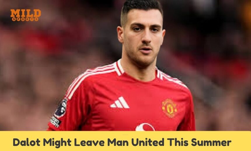 Dalot Might