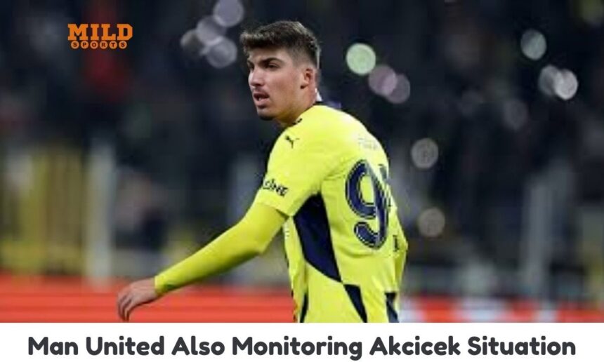Akcicek