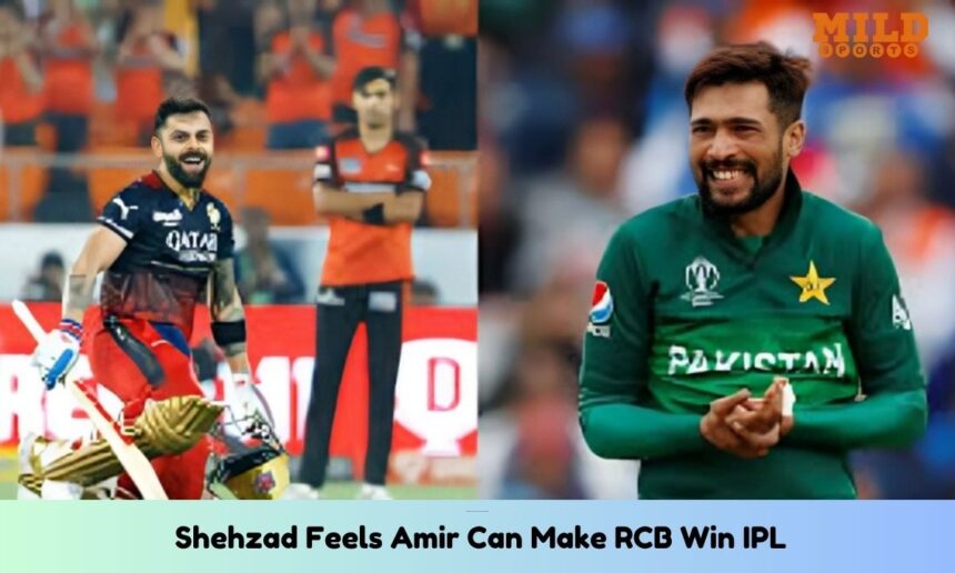 Amir