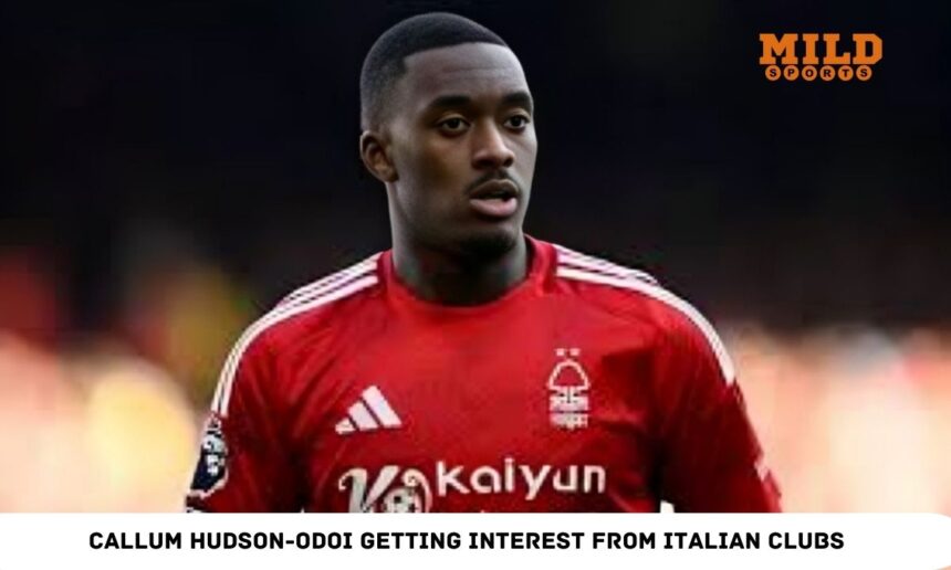 Callum Hudson