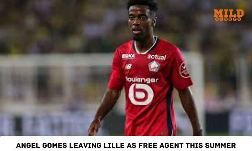 Angel Gomes