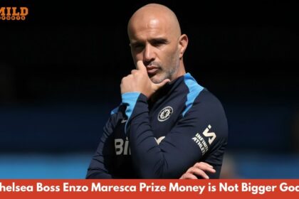 Enzo Maresca