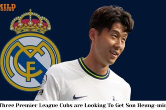 Son Heung-min